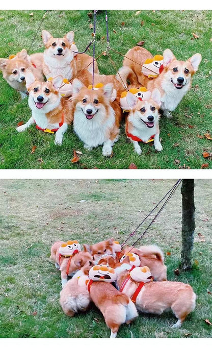 Dogs From Backpacks Small Dogs Cute Bread Pets Backpacks Fighting Teddy Corgi Going Out Schoolbags Traction Rope Dog Accessories