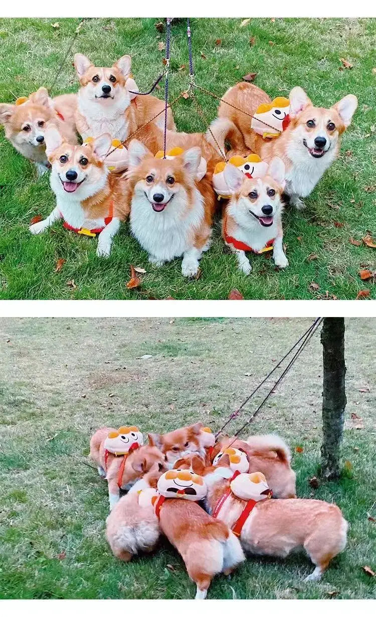 Dogs From Backpacks Small Dogs Cute Bread Pets Backpacks Fighting Teddy Corgi Going Out Schoolbags Traction Rope Dog Accessories