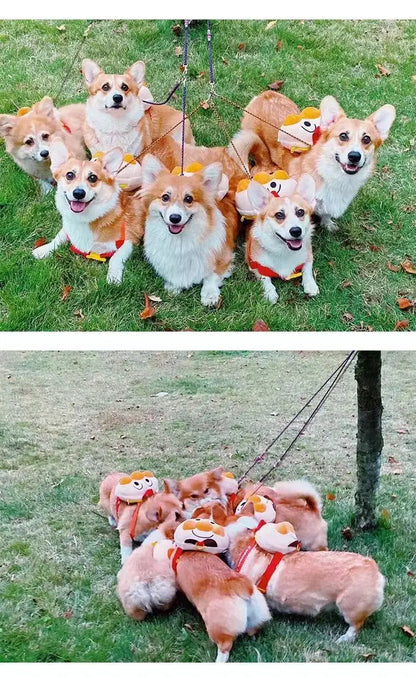 Dogs From Backpacks Small Dogs Cute Bread Pets Backpacks Fighting Teddy Corgi Going Out Schoolbags Traction Rope Dog Accessories