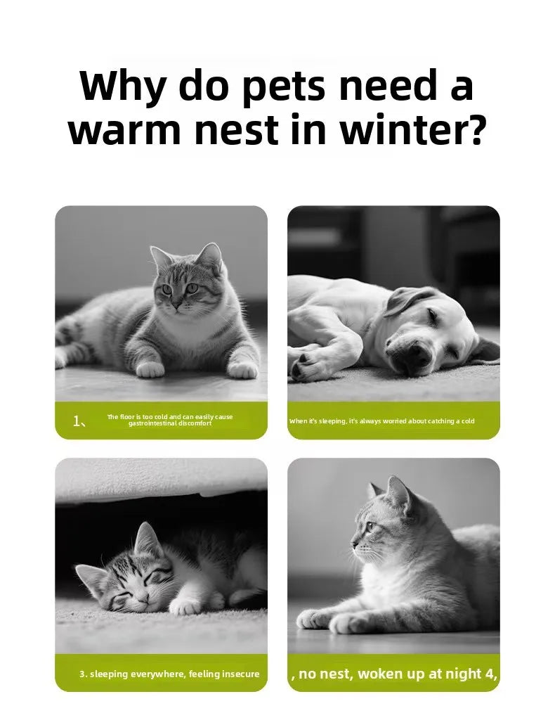 Cat bed mat winter autumn caterpillar cozy sleep house warm Nest safe breathable large space bed warm cat products cushions