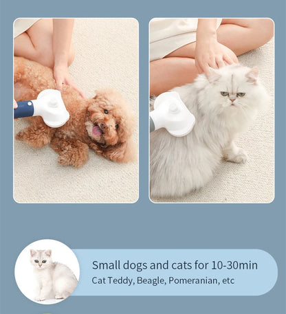 3 in1 Pet Dog Dryer Quiet Dog Hair Dryers and Comb Brush Grooming Kitten Cat Hair Comb Puppy Fur Blower Low Noise Temprature