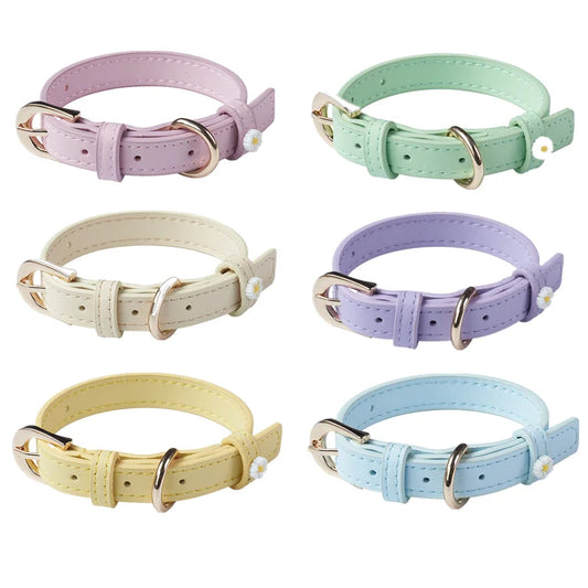 Cute Dog Accessories PU Leather Pet Collar Daisy Decoration Alloy Buckle Head Traction Rope Neck Loop for Cat Teddy Schnauzer
