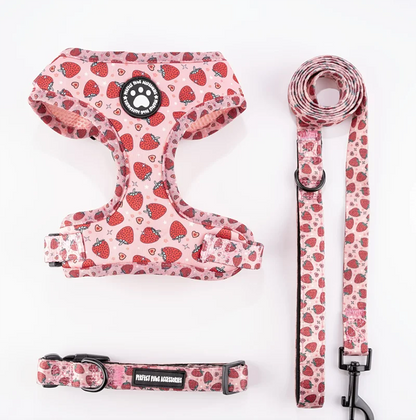Dog Harness and Leash Set-Includes dog collar and leash,dog accessories for small dogs Chihuahua Teddy Bear French Bulldog