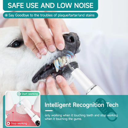 CURVY MOON Dog Use Ultrasonic Tooth Cleaner Dog Cat Pet Dental Scaler for Tartar Removal Teeth Cleaning Tool with LED Light