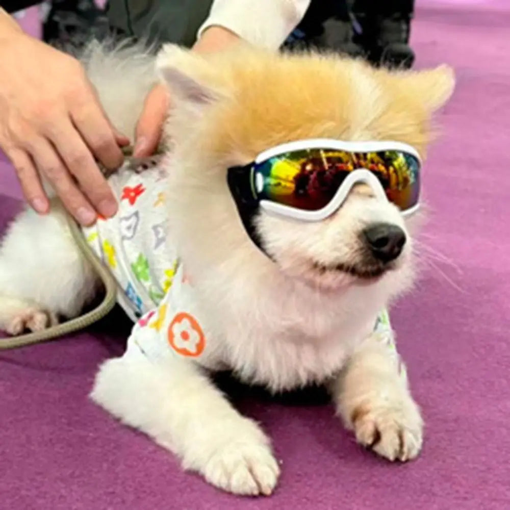 Dog Accessories Adjustable Strap Dog Goggles Windproof UV Resistant Dog Sunglasses Anti-Fog Waterproof Pet Glasses Sports
