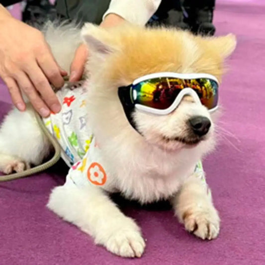 Dog Accessories Adjustable Strap Dog Goggles Windproof UV Resistant Dog Sunglasses Anti-Fog Waterproof Pet Glasses Sports