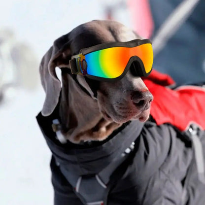 Dog Accessories Adjustable Strap Dog Goggles Windproof UV Resistant Dog Sunglasses Anti-Fog Waterproof Pet Glasses Sports