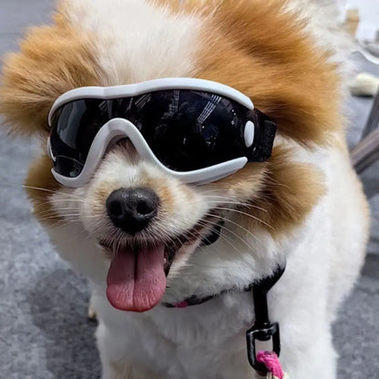 Dog Accessories Adjustable Strap Dog Goggles Windproof UV Resistant Dog Sunglasses Anti-Fog Waterproof Pet Glasses Sports