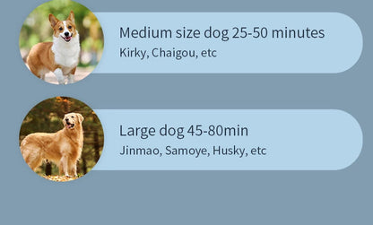 3 in1 Pet Dog Dryer Quiet Dog Hair Dryers and Comb Brush Grooming Kitten Cat Hair Comb Puppy Fur Blower Low Noise Temprature