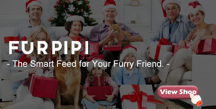 Automatic Cat Feeder With 1080p Camera Video Cat Food Dispenser Pet Smart Voice Recorder Remote Control Auto Feeder For Cat Dog